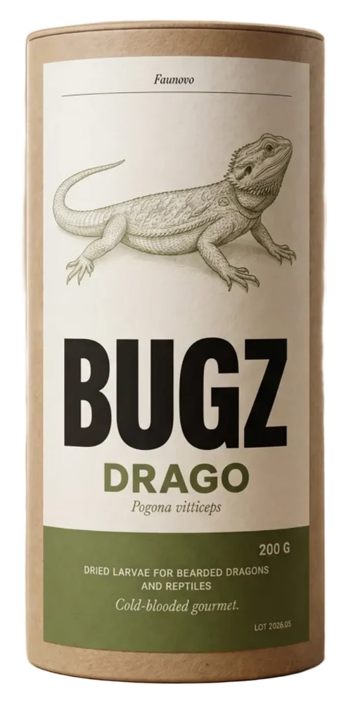 BUGZ DRAGO, dla gadów
